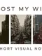 I Lost My Wife