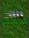 Idle Run Aya