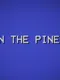 In the Pines