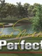 Jack Nicklaus Perfect Golf