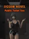 Jigsaw Novel: Public Toilet Sex