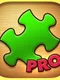 Jigsaw Puzzle Pro