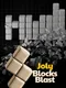 Joly Blocks Blast