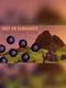 Just VR Slingshot Target Practice