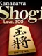 Kanazawa Shogi: Level 300