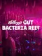 Kellogg's Gut Bacteria Reef