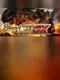 King of Egypt GX