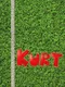 Kurt '99: The Football Manager