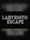 Labyrinth Escape