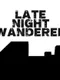 Late Night Wanderer