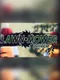 Lawnmower Game 2: Drifter