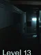 Level 13