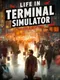 Life in Terminal Simulator: Airport Adventures