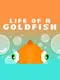 Life of a Goldfish