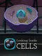 Looking Inside Cells