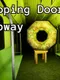 Looping Doors: Subway