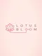 Lotus Bloom