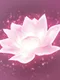 Lotus Digital