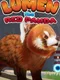 Lumen the Red Panda