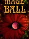 Mage Ball