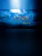 Magic Factory