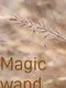 Magic Wand
