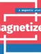 Magnetizer