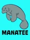 Manatee