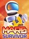 Mars Survivor