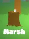 Marsh