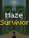 Maze Survivor
