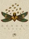 Memory Traces: Egypt