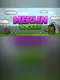 Merlin Soccer