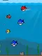 Mini Fish