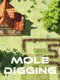 Mole Digging
