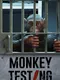 Monkey Testing