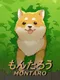 Montaro