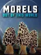 Morels: Out of this World