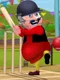 Motu Patlu Cricket Game
