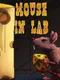 Mouse in Lab
