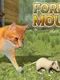 Mouse simulator