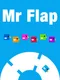 Mr Flap