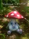 Mushroom Collection