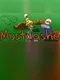 Mustdashe