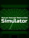 Mutual Assured Destruction Simulator