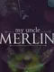 My Uncle Merlin: A Tale of Wizards in Space