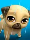 My Virtual Pet Louie the Pug
