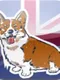 MyRoyalCorgi