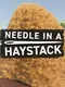 Needle In A Haystack