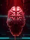 Neural Nexus